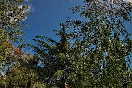 Villa Smrikve  foto 2