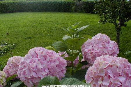 Apartmány Natalija foto 5