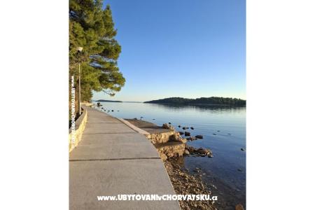 Apartmány Palit Rab foto 4