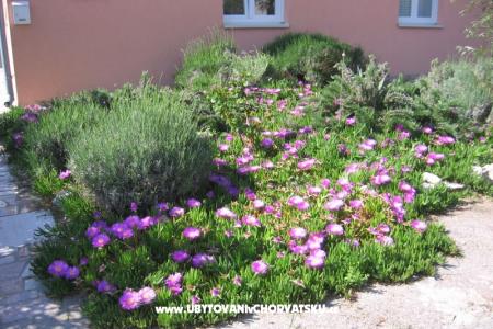 Apartmán Marina exclusive foto 3