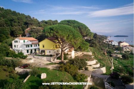 Božena Barčić foto 5