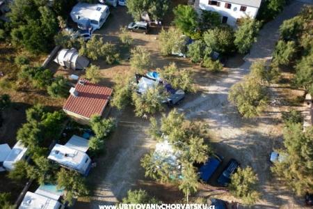 CAMP PUNTICA foto 3