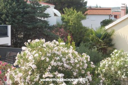 Apartmán Brigita foto 3