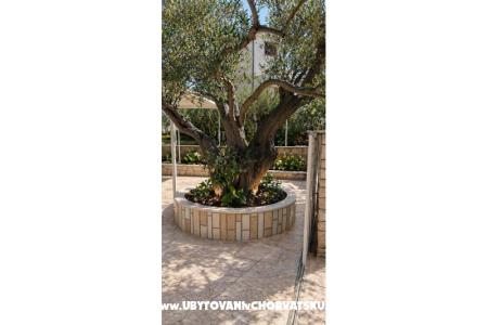 Apartmány Ukić foto 4