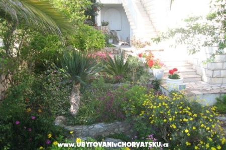 Villa Jozo Apartmány foto 5