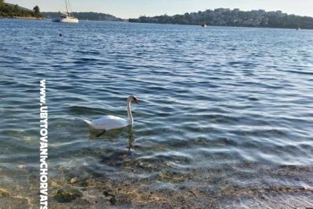 Apartmány Crnjac foto 5