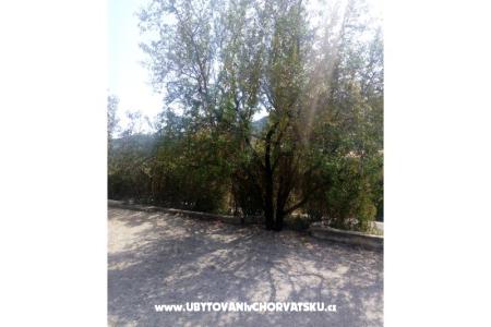 Apartmány Ercegovic foto 5