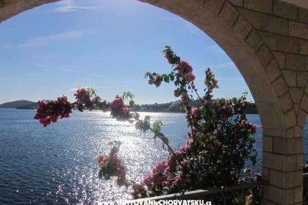 Apartmány Dane foto 4