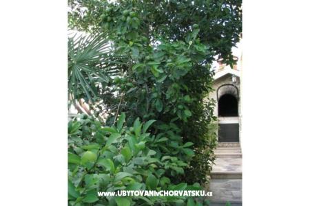 Apartmány Villa Milakovic foto 4