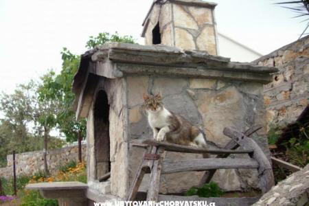 Apartmány Rogoznica foto 2