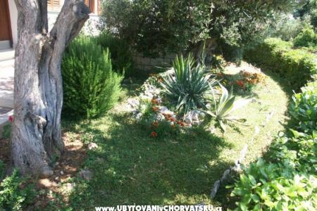 Santa Chiara Apartmány foto 5