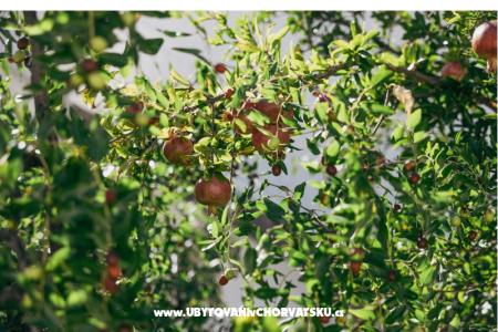 Apartmány Vidović foto 5