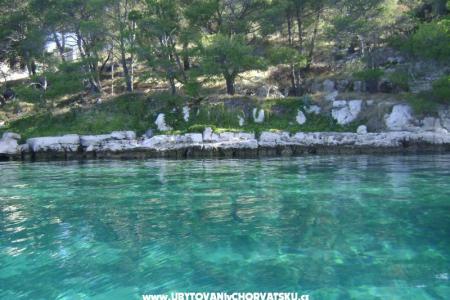 Apartmány - Otok Lavdara foto 2
