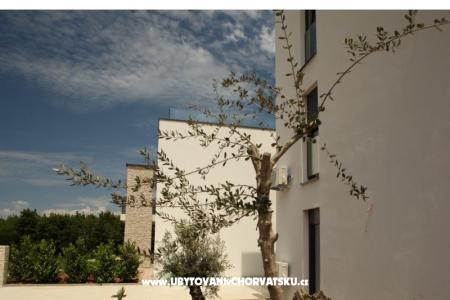 Villa Adriatic Istra foto 5