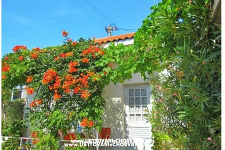 Apartmány Antić foto 3