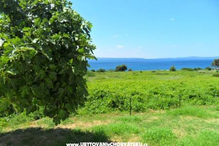 Summerhouse Belomo foto 3