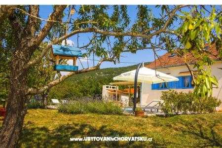 Villa Romansa- 22 km from Split foto 4