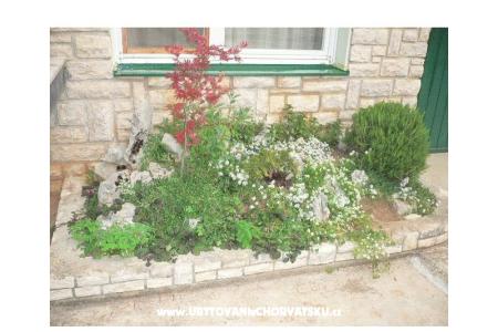 Dům k odpočinku Goga foto 4