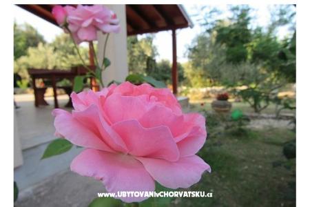 Dům k odpočinku Dević foto 2