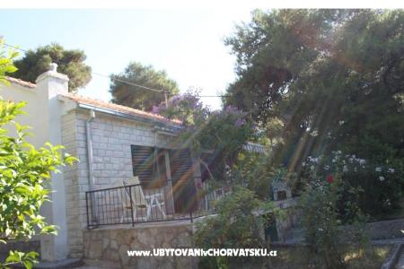 Villa Dragan foto 2