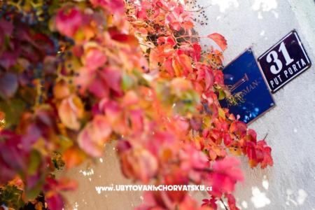 Apartmán Jelena foto 2