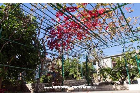 Apartmán Jelena foto 4