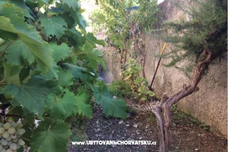 Apartmány Adria foto 5