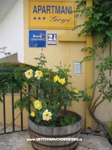 Apartmány Gogi foto 2