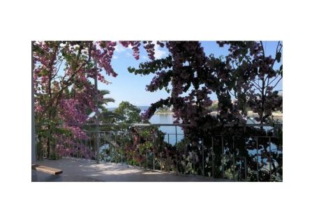 Apartmány Tereza foto 4