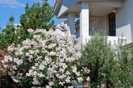 Apartmány Ruža foto 2