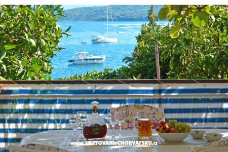 Lozovina Trogir Chorvatsko