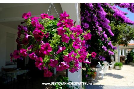 Penzion Jeric foto 3