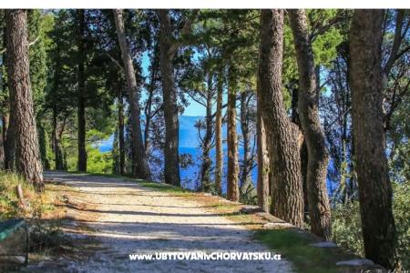 Apartmány Nino foto 5