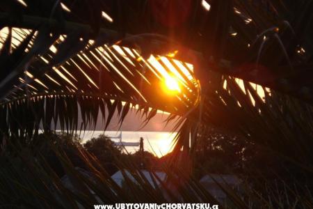 Apartmány Branko Vidaković foto 4