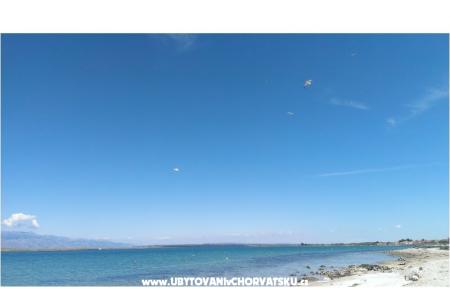 Apartmány Alma ostrov Vir Chorvatsko