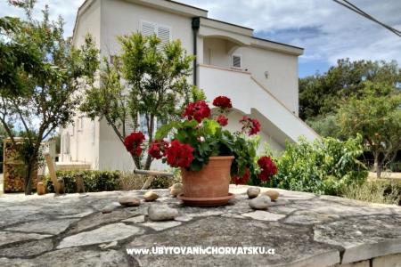 Apartmány Budija / Viola ostrov Vir Chorvatsko