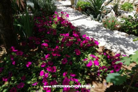 Apartmány Kipas foto 4