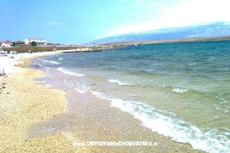 Apartmány Nedić foto 3