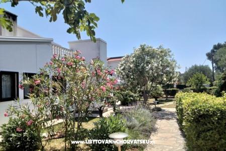 Apartmány Budija / Lavanda foto 2