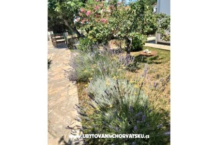 Apartmány Budija / Lavanda foto 4