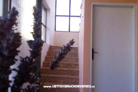 Apartmány  Smokva   foto 3