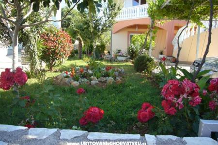 Apartmány Ćosić  foto 3