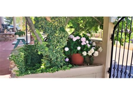 Apartmány Dea&amp;Paula foto 2