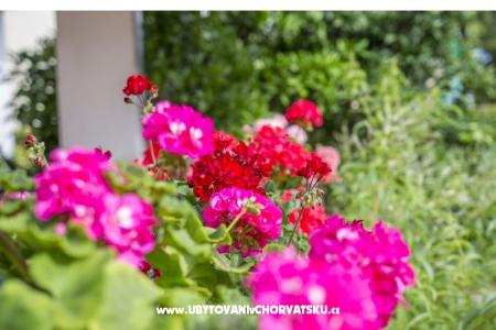 Apartmány Ines foto 3