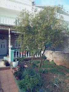 Apartmány Marijana Alaga foto 3
