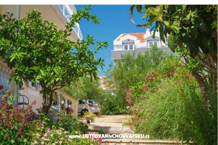 Apartmány Duzelovi dvori  foto 3