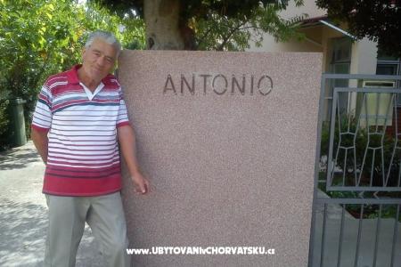 Apartmány and rooms Antonio foto 3