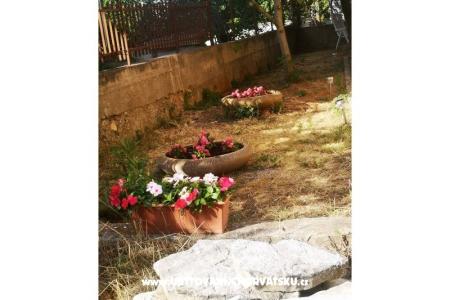 Apartmány Asea Zadar foto 3