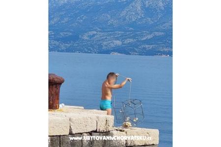 Apartmány Roko  foto 4