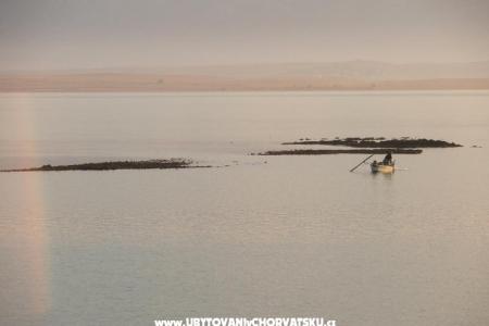 Apartmány Biskup foto 5